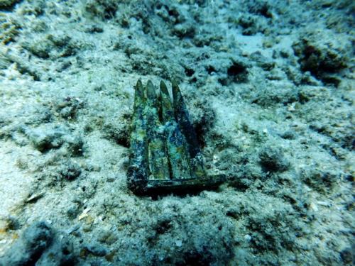 サイパン ダイビングショップ