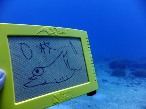 サイパン ダイビング