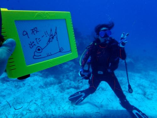 サイパン ダイビングショップ