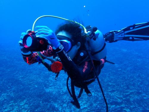 サイパン ダイビング