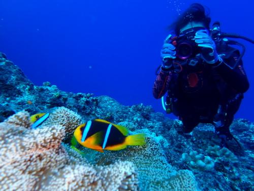 サイパン ダイビングショップ