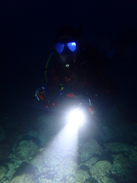 サイパン 体験ダイビング