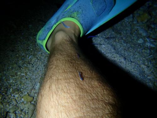 サイパン ダイビングショップ