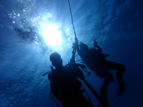 サイパン ダイビング ライセンス