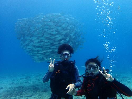 サイパン ダイビング