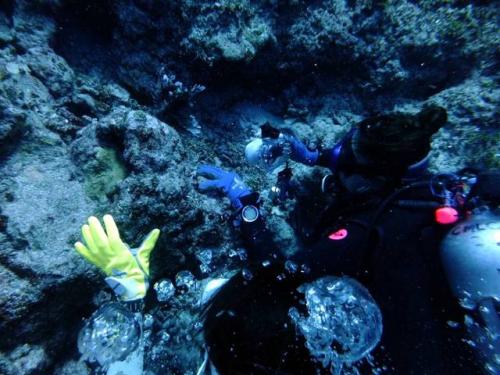 サイパン ダイビング ライセンス