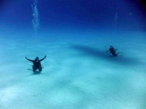 サイパン ダイビング ライセンス