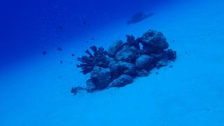 サイパンダイビング