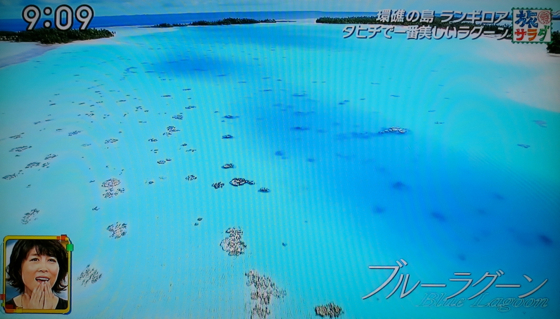 旅サラダ で放送されたタヒチ 星野リゾートランギロア トーホートラベル 特派員ブログ トラベルコ