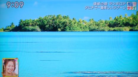 旅サラダ で放送されたタヒチ 星野リゾートランギロア トーホートラベルさんの旅行ブログ トラベルコ