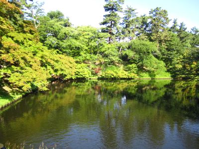 イロハモミジとお濠