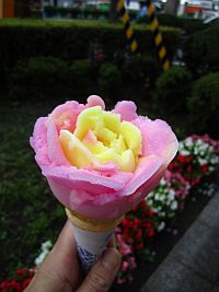 ババヘラアイス２