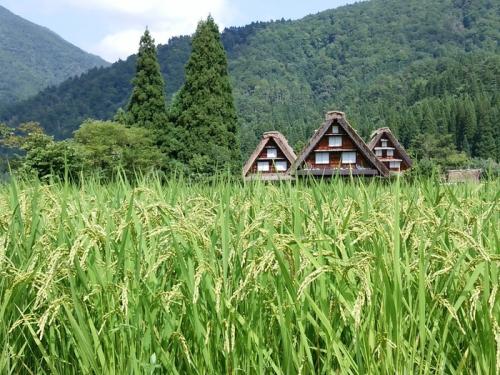 秋の大型連休、シルバーウィーク！ ４