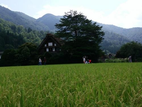 秋の大型連休、シルバーウィーク！ ５