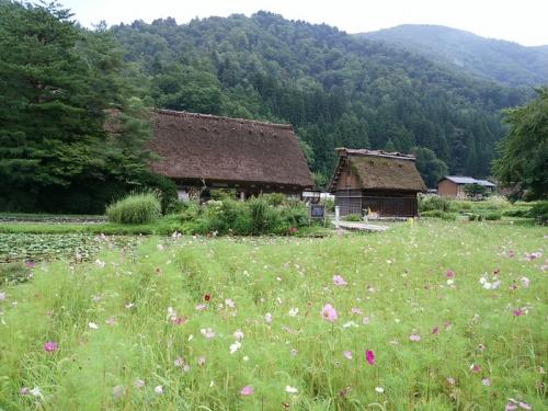 秋の大型連休、シルバーウィーク！ ７