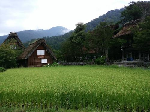 秋の大型連休、シルバーウィーク！ ８