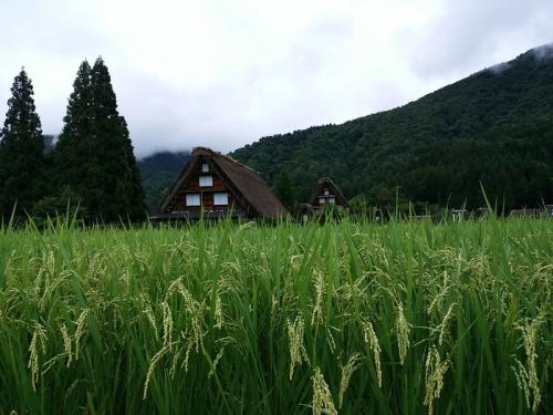 ９月にも連休がやってきます！１