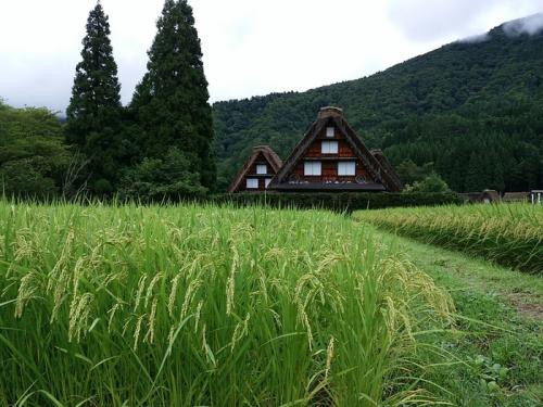 夏も終わりを告げ秋の足音が聞こえ始まる１