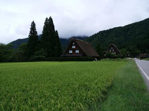 夏も終わりを告げ秋の足音が聞こえ始まる２