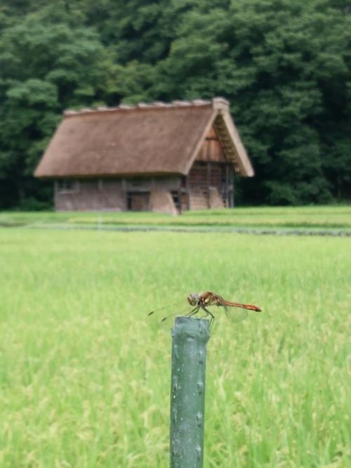 夏も終わりを告げ秋の足音が聞こえ始まる３