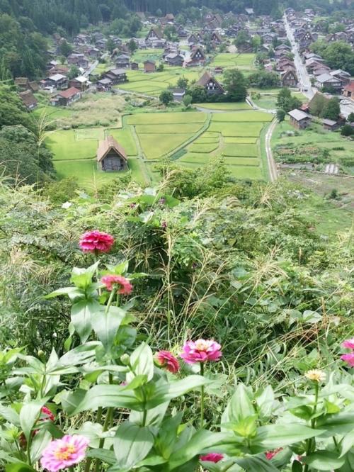 夏も終わりを告げ秋の足音が聞こえ始まる８