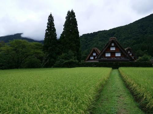 シルバーウィーク大型連休だって！１