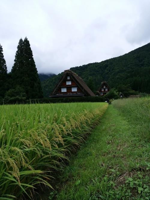 シルバーウィーク大型連休だって！２
