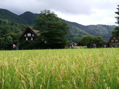 シルバーウィークを避けて、ゆったり６