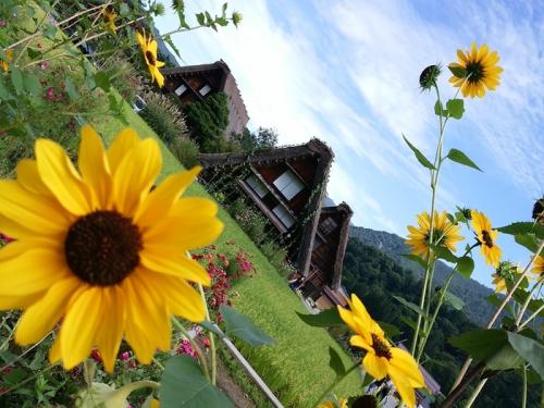 シルバーウィークを避けて、ゆったり７