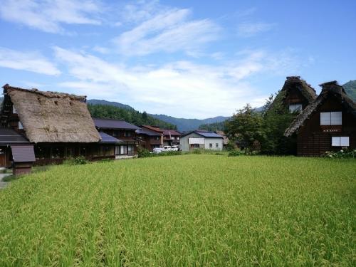 シルバーウィークを避けて、ゆったり９