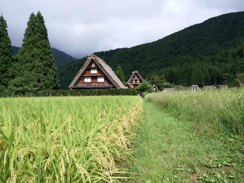 シルバーウィークを避けて、ゆったり１１