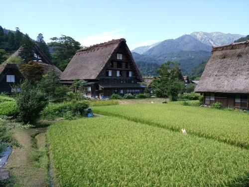 シルバーウィークの行楽として日本の伝統４