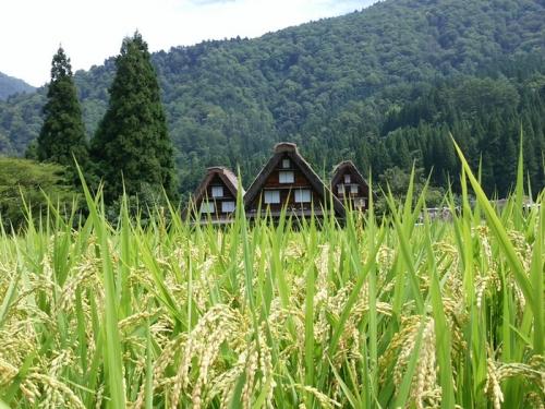 秋の大型連休・シルバーウィーク 7