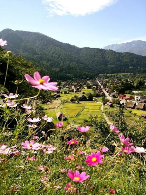 秋の大型連休・シルバーウィーク 8