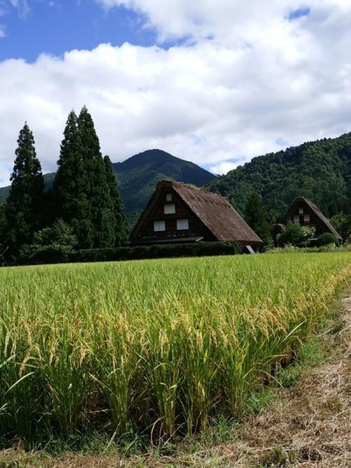 9月に取る夏休み〜６