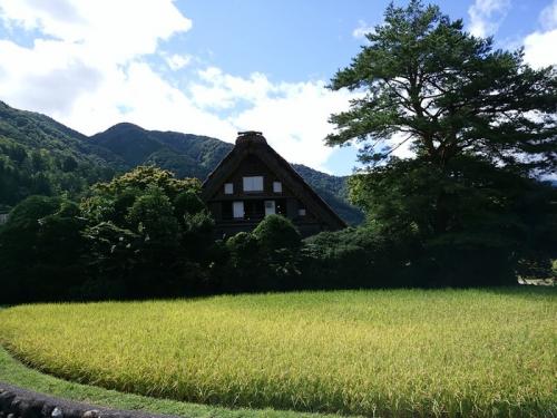 9月に取る夏休み〜８