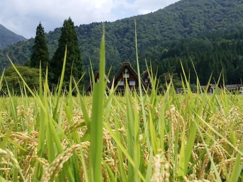 秋の行楽シーズン真っ只中８