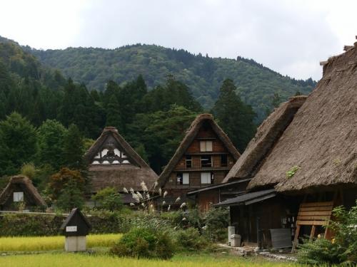 今秋の大型連休シルバーウィークも早後半１