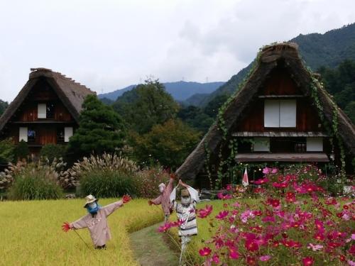 今秋の大型連休シルバーウィークも早後半2