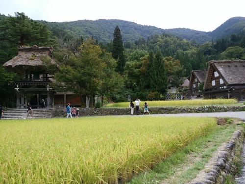 今秋の大型連休シルバーウィークも早後半３