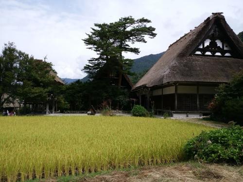 今秋の大型連休シルバーウィークも早後半4