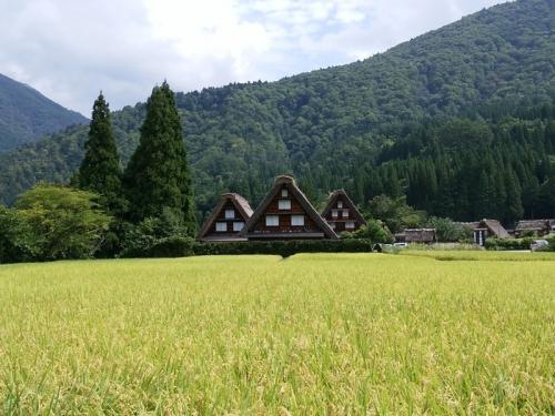 今秋の大型連休シルバーウィークも早後半７