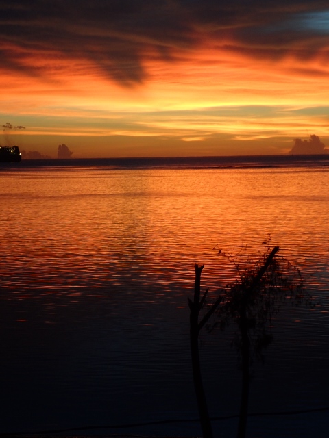 サイパン ダイビング ライセンス