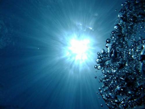 サイパン ダイビングショップ