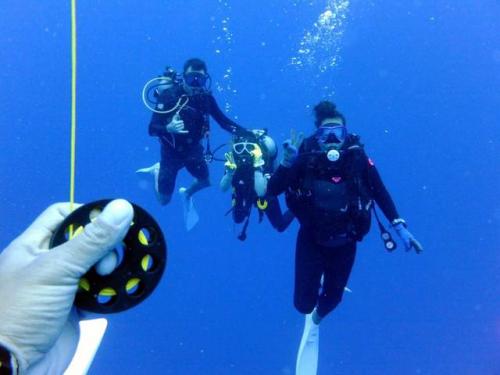 サイパン ダイビング ライセンス