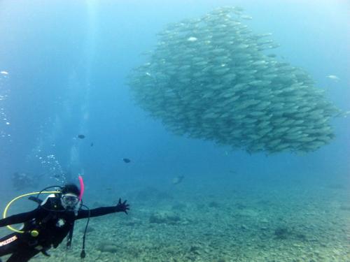 サイパン ダイビング