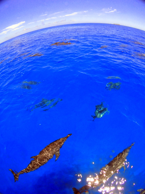 サイパン ダイビングショップ