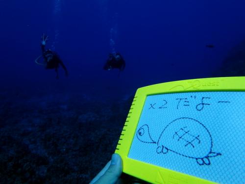 サイパン 体験ダイビング