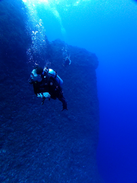 サイパン ダイビング ライセンス