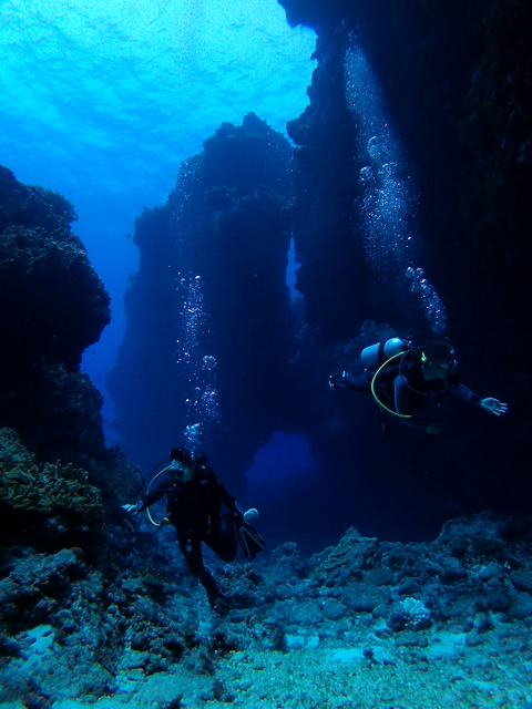 サイパン ダイビング ライセンス
